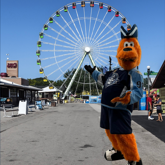 STATE FAIR 2025