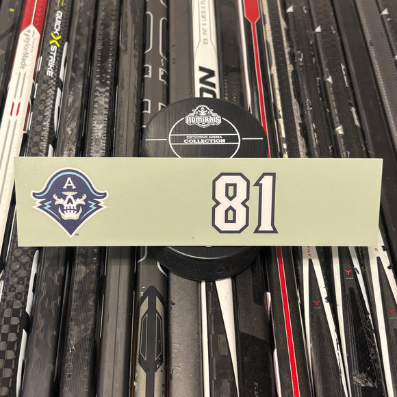 BLANK #81 UNSIGNED NAMEPLATE