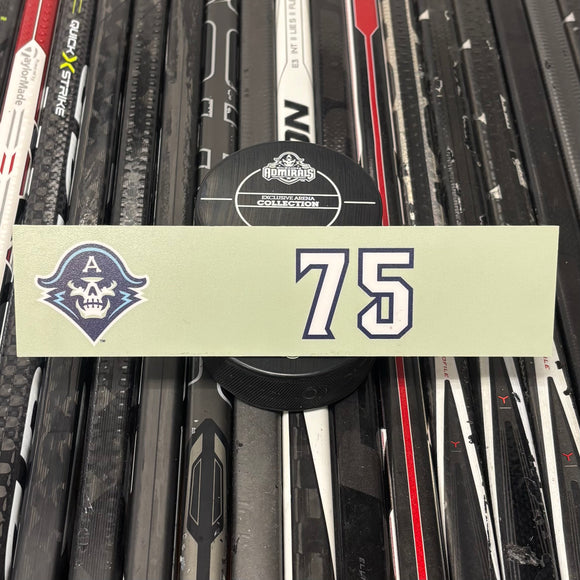 BLANK #75 UNSIGNED NAMEPLATE