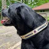 PET COLLAR FAUX