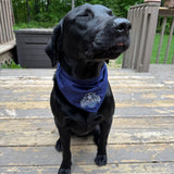 PET BANDANA